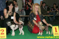 Females Puppy class