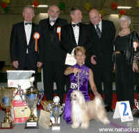 Champion of Champion´s SK 2005 - Ich. CODY z Haliparku