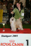 Juniorhandlig - Stuttgart 2005 - Celine Feldmann a Cody