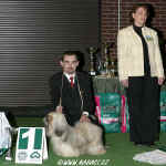 Junior Best of Day - lhasa apso - Big Boss Pibaro, chov. a maj.  Patrik Panrek, CZ