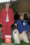 Marion Spavin, Great Britain (BIG 3 + BOB CACIB Berlin 2006, Cody z Haliparku)