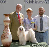 BEST IN SHOW 2006 - Chisinau - Chinese Crested Dog Powder Puff Ich. Cody z Haliparku, BOG judge Cristian Stefanescu, RO; BIS judge Karl Reisinger, A