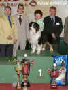 Best in Show - australsk ovk p Jarmily Podzemsk, CZ, BIS judge: Laurent Pichard, CH