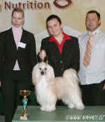 1st place in juniorhandling - Lucie Kotrov + Cody z Haliparku, CZ. judge: Linda Volrikov, SK