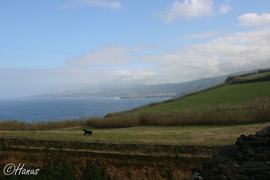 Sao Miguel 2006