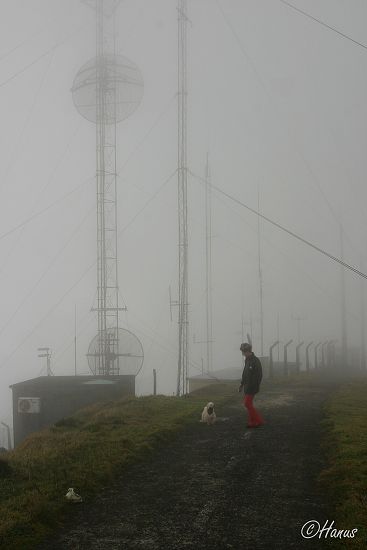 Sao Miguel 2006