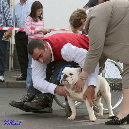 CACIB Grand Ribera 2006