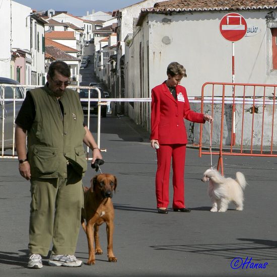 CACIB Grand Ribera 2006