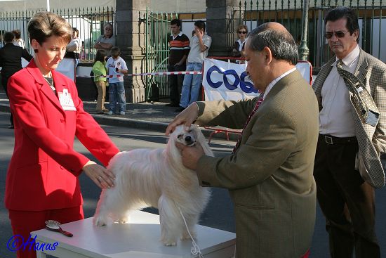 CACIB Grand Ribera 2006