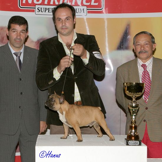 CACIB Grand Ribera 2006