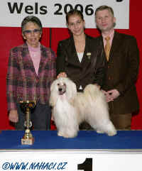 Sandra + Cody - 1st place in Juniorhandling in Austria 2006 !