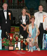 Ich. GESSI Modr kvt - BEST IN GROUP + CHAMPION OF CHAMPIONS 2007 ! Many thanks !!! 