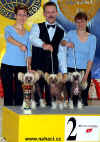 Group "Modr kvt" - breeder: Ji Pospil, Prague