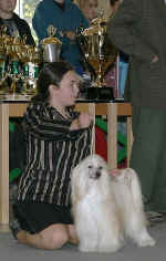 Ich. Cody z Haliparku a Lucie Kotěrová - juniorhandling CB 9.10.2005