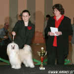 1st place juniorhandling - Lucie Kotrov + Cody z Haliparku, judge: Ing. Alena Kolov