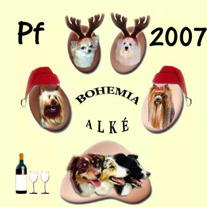 PF 2007