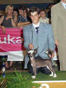 Brenthill Gavany's Bohemia - reserve junior Best in Show Liege