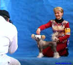 Originln fotografii najdete na strnkch www.dogshow.at